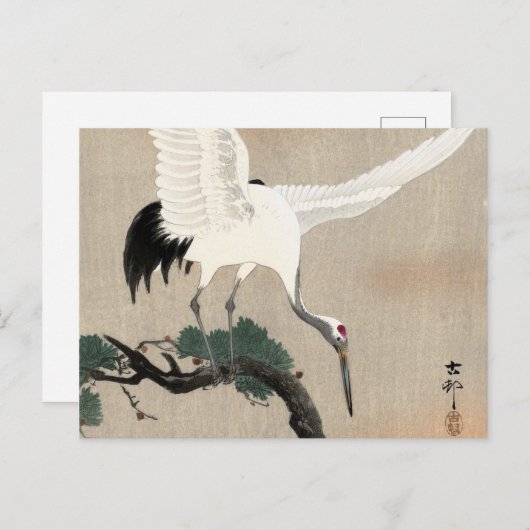 Japanese Crane on Branch of Pine, 1900-1930 Briefkaart (Voorkant / Achterkant)