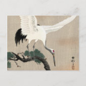 Japanese Crane on Branch of Pine, 1900-1930 Briefkaart (Voorkant)