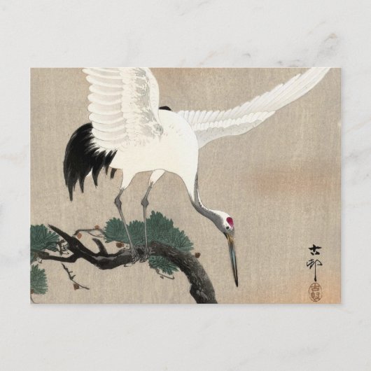 Japanese Crane on Branch of Pine, 1900-1930 Briefkaart (Voorkant)