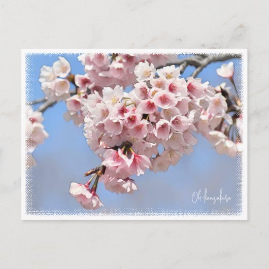 Japanese Flowering Cherry Briefkaart (Voorkant)