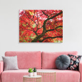 Japanese Maple Canvas Print (Insitu (Woonkamer))