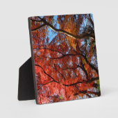 Japanese Maple Fotoplaat (Voorkant)