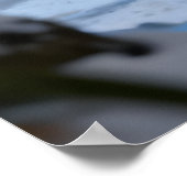 Japanese Ninja Warrior Poster (Hoek)