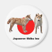 Japanese Shiba Inu Magneet (Voorkant)