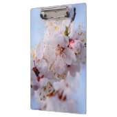 Japans Abriot Blossom Klembord (Links)