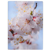 Japans Abriot Blossom Klembord (Achterkant)