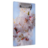 Japans Abriot Blossom Klembord (Rechts)