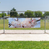 Japans Abriot Blossom Spandoek (Insitu)