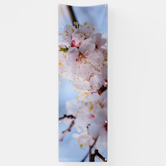 Japans Abriot Blossom Spandoek (Verticaal)