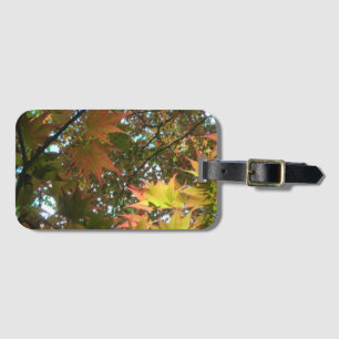 Japans Bagagelabel van de mantel