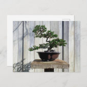 Japans Bonsai Briefkaart (Voorkant / Achterkant)