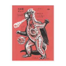 Japans Briefkaart van de Cutaway Monster