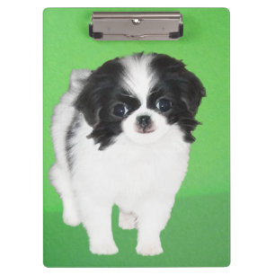 Japans Chin Puppy Painting - Oorspronkelijke honde Klembord