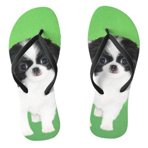 Japans Chin Puppy Painting - Oorspronkelijke honde Teenslippers