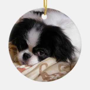Japans_chin puppy.png keramisch ornament