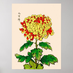  Japans Chrysanthemum. Mustard Yellow Poster