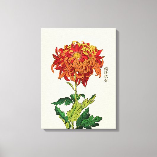 Japans Chrysanthemum. Rust en Sinaasappel Canvas Afdruk (Voorkant)