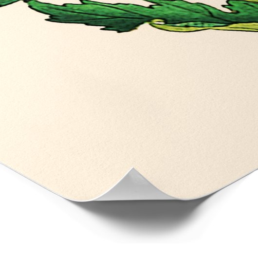  Japans Chrysanthemum. Rust en Sinaasappel Poster (Hoek)