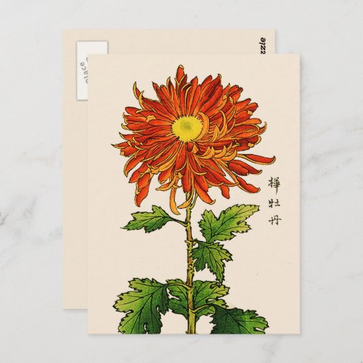 Japans Chrysanthemum. Sinaasappel en goud Briefkaart (Voorkant / Achterkant)