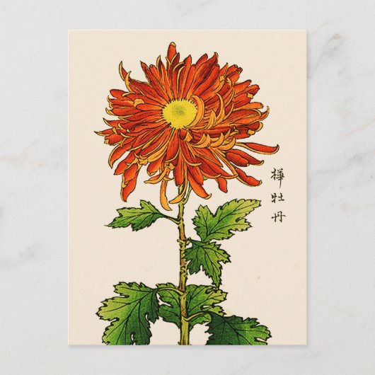  Japans Chrysanthemum. Sinaasappel en goud Briefkaart (Voorkant)