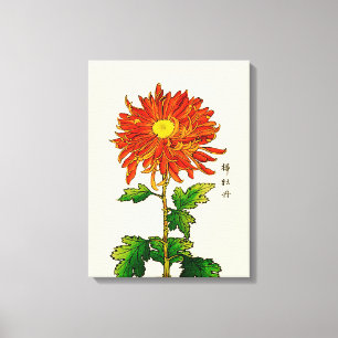 Japans Chrysanthemum. Sinaasappel en goud Canvas Afdruk