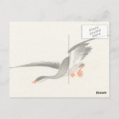 Japans Duck  Briefkaart (Achterkant)