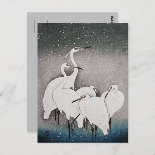 Japans Egrets Koson kranen wintersneeuw Briefkaart (Voorkant / Achterkant)