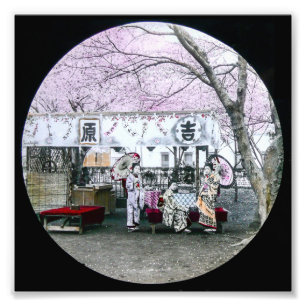 Japans Geisha zit onder Cherry Blossom Foto Afdruk