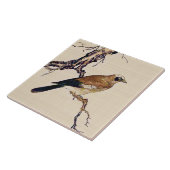 Japans Hout snijvlak van een Finch, bruin en beige Tegeltje (Zijkant)