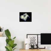 Japans Iris Black en White High Contrast Poster (Thuiskantoor)