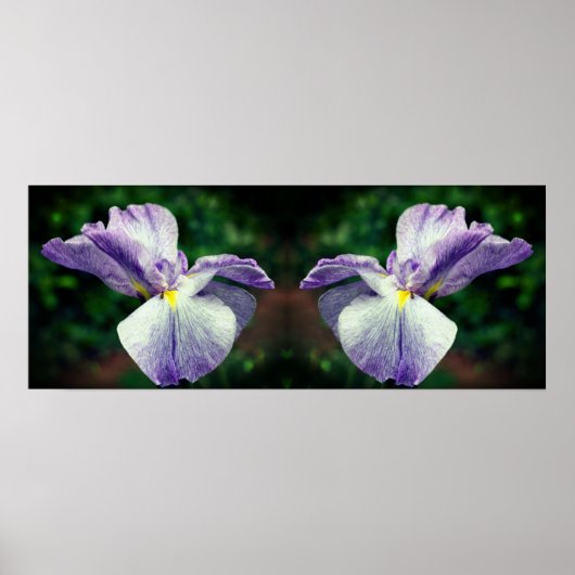 japans iris bloem ontvouwen spiegel Abstract Poster (Voorkant)