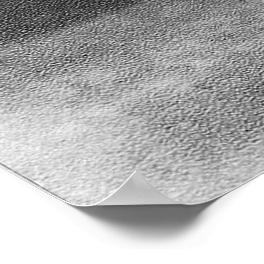 Japans Judoka Jigoro Kano Kyuzo Mifue Judo Poster (Hoek)