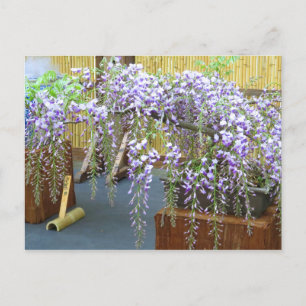 Japan's landschap [Briefkaart] Briefkaart