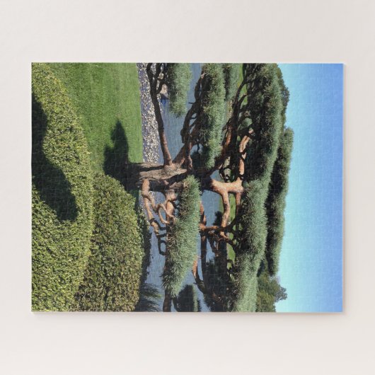 Japans Landschap Tuin Bonsai Boom Natuur Puzzel Legpuzzel (Horizontaal)