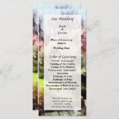 Japans lenteverbindingsprogramma programma (Voorkant / Achterkant)