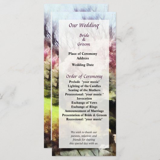 Japans lenteverbindingsprogramma programma (Voorkant / Achterkant)