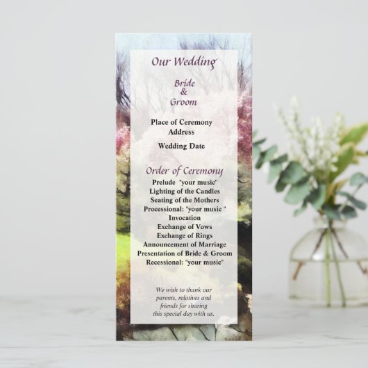 Japans lenteverbindingsprogramma programma (Staand voorkant)