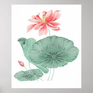  Japans lotus kunst print