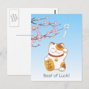 Japans Lucky Calico Cat, Maneki Neko Briefkaart