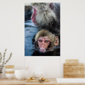Japans Macaque Baby Poster (Keuken)