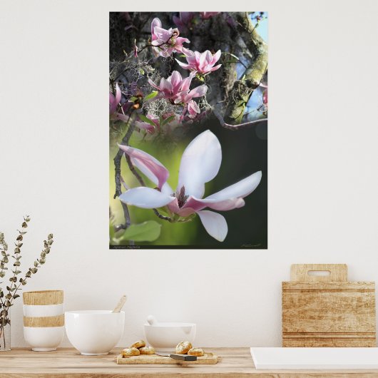 Japans Magnolia 2 Poster -40x60 - of kleiner (Keuken)