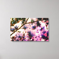 Japans Magnolia Canvas Print