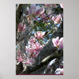 Japans Magnolia Poster -24x36 - andere grootte ook