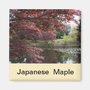 Japans monster in Van Dusen Garden Magneet