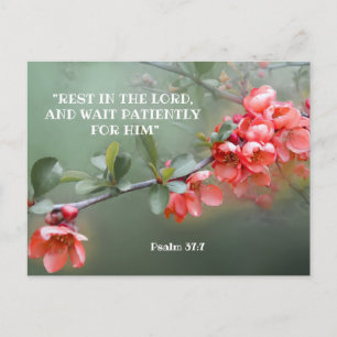 Japans ornamental Quince met bijbelcitaat Briefkaart