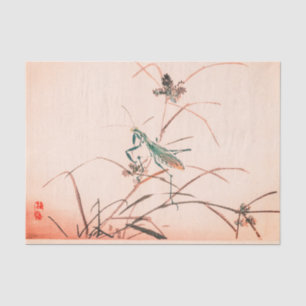 JAPANS PRAYING MANTIS PINK Tissue Paper Tissuepapier