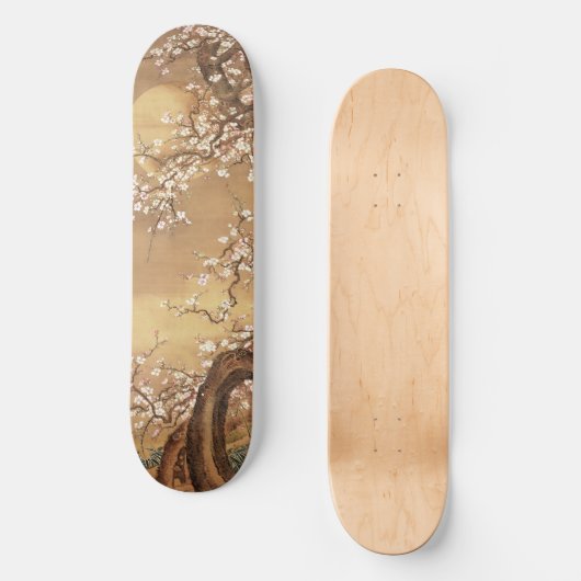 Japans pruim bloeit in maanlicht skateboard (Voorkant)