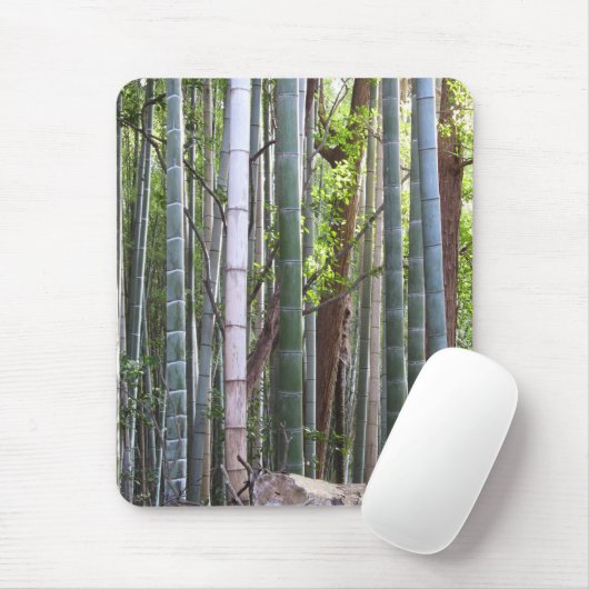 Japans Reuzenbamboebos, Sagano, Kyoto, Japan Muismat (Met muis)