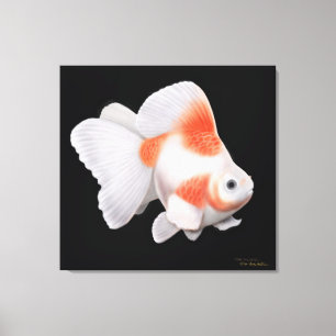 Japans Ryukin Fantail Goldfish Wrapped Canvas Afdruk