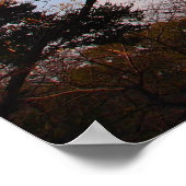 Japans Samurai Poster (Hoek)